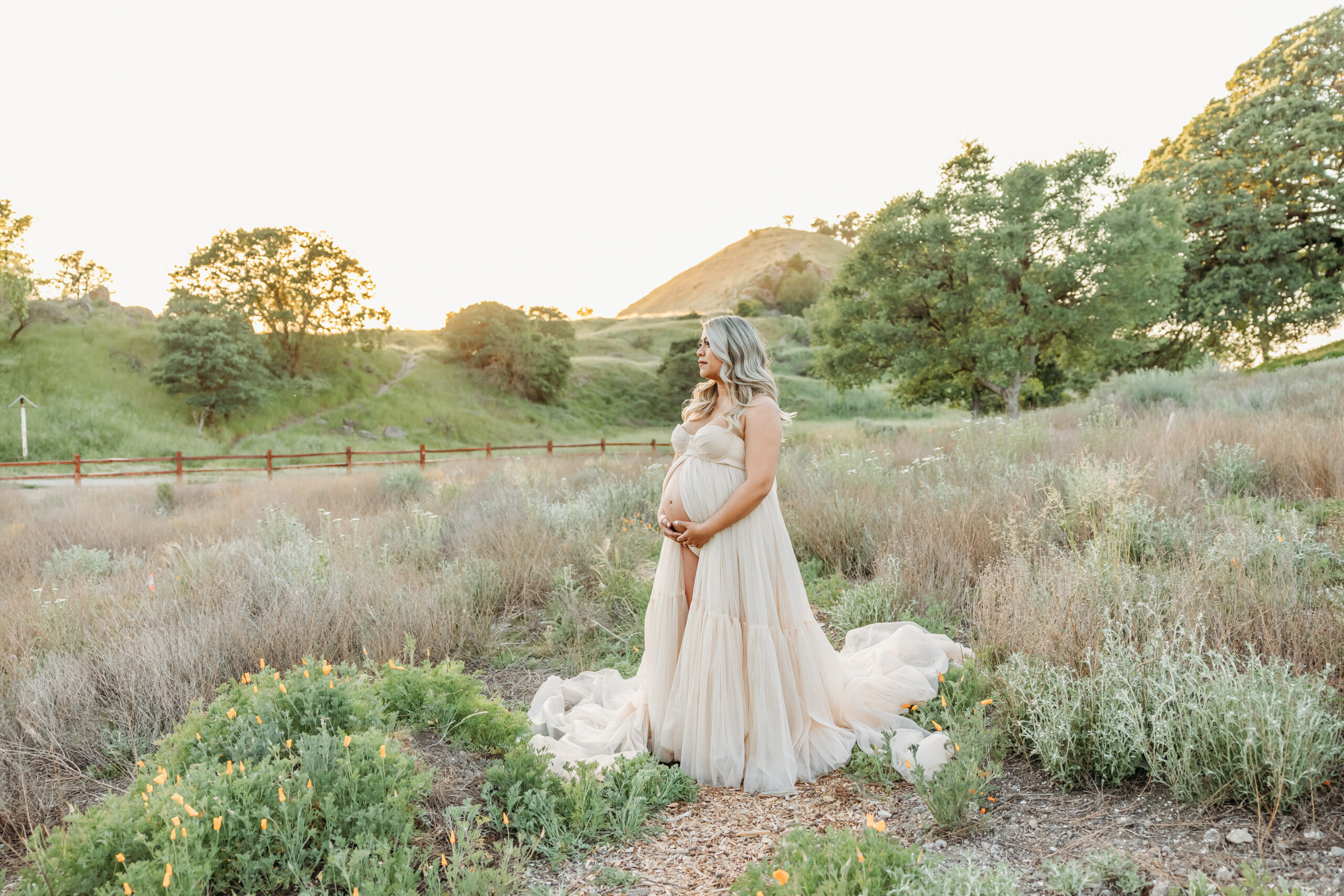 San Francisco Maternity Photographer, Vacaville Photographer, Bay Area Wedding Photographer, Bay Area family photographer